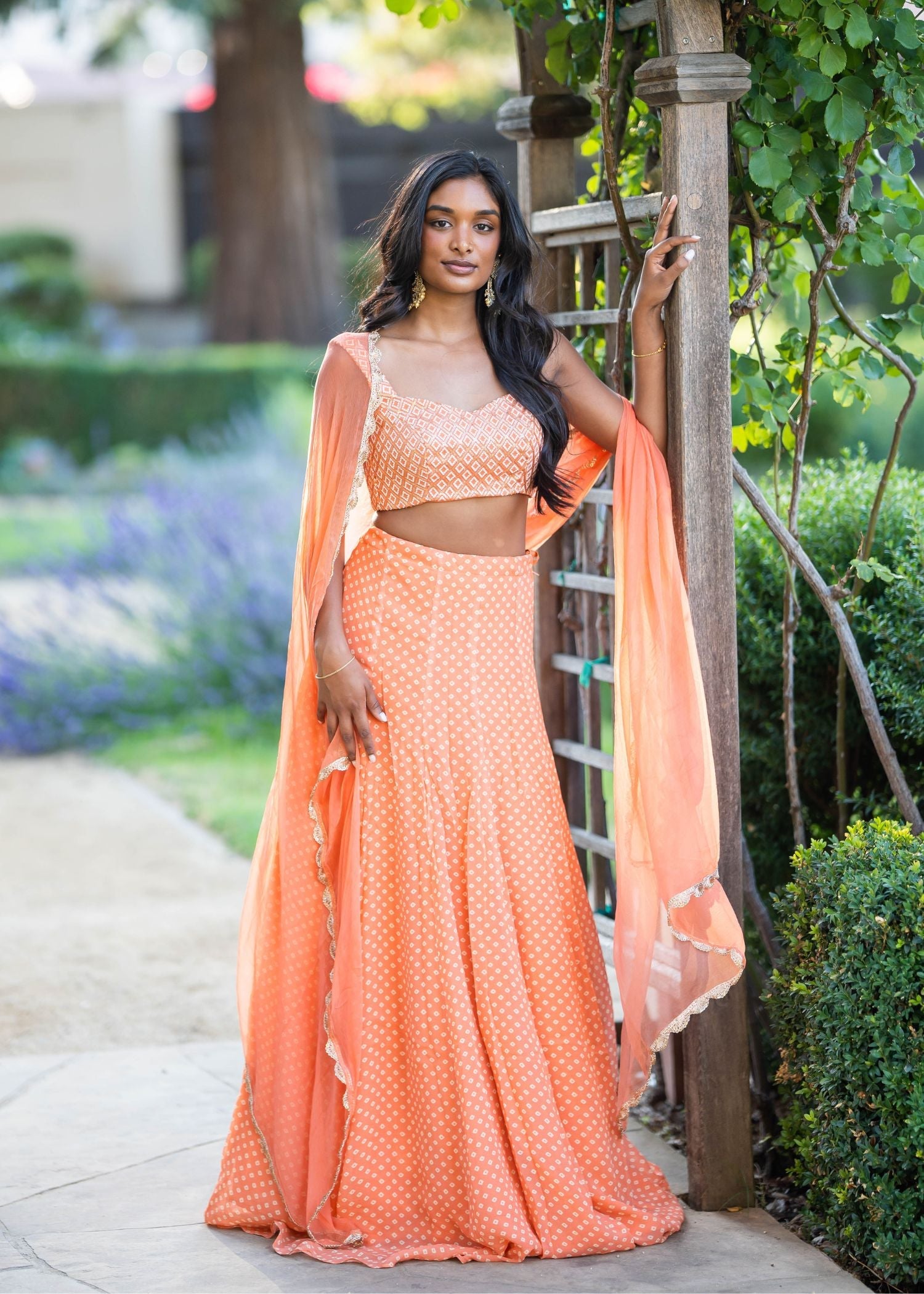 Mehendi/Haldi